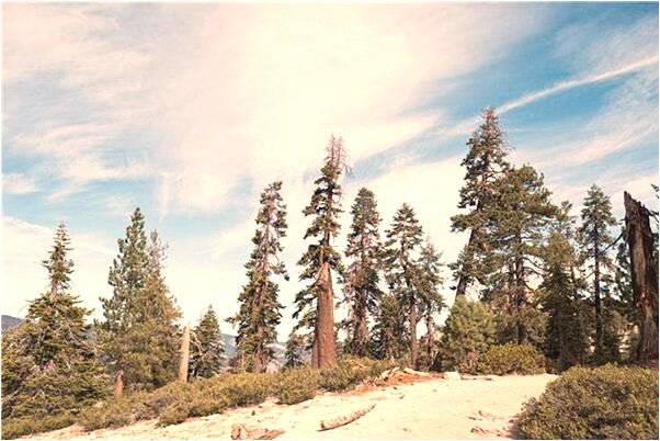 夢到媽腿摔斷了奶奶被打的預兆_周公解夢官網