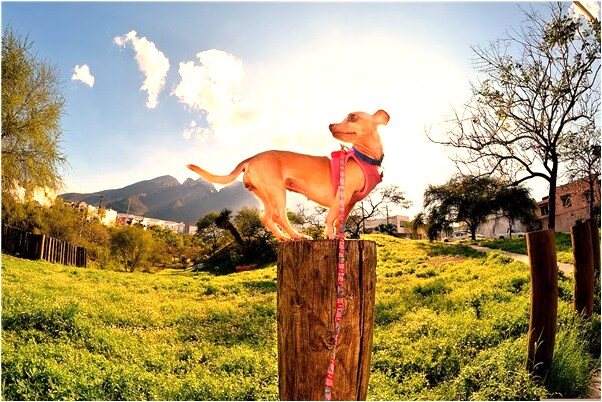 夢到去世親人剪腳趾甲是什麼意思？_周公解夢官網