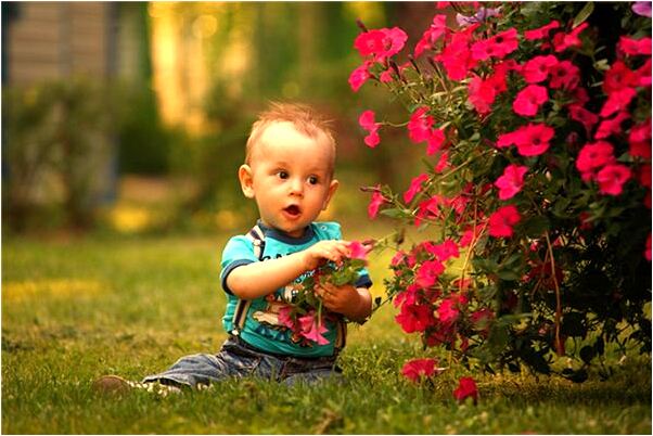 夢到小火燒代表著什麼？_周公解夢官網