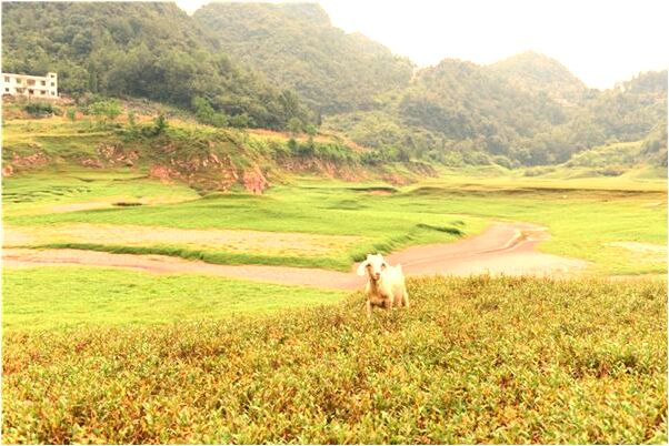 夢到了和別的女人搶同一個男人會有什麼預兆_周公解夢官網