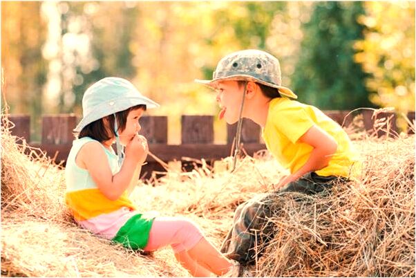 夢見貓咪掉毛是什麼意思？_周公解夢官網