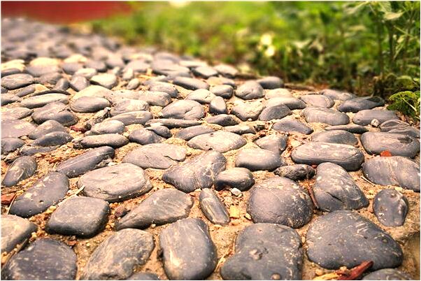 夢到了看到女人脫光是吉兆嗎?_周公解夢官網