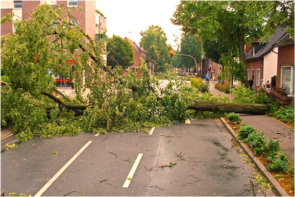 夢到自己結婚盤發是啥預兆_周公解夢官網