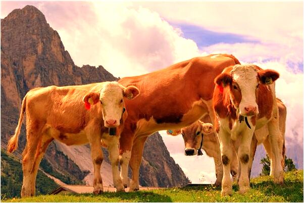 夢到了筆記本摔壞了會是什麼預兆_周公解夢官網