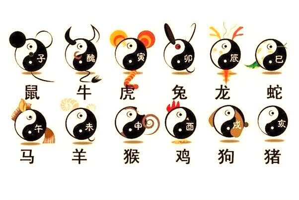 夢到了自己被扒皮又給粘上了意味著什麼_周公解夢官網