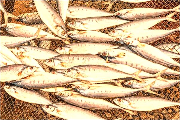 夢到有人背我有何寓意_周公解夢官網