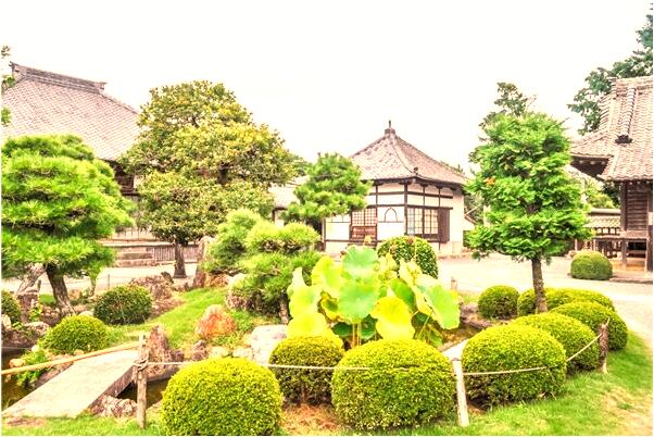 夢到老虎裝門後被狼群圍攻有什麼徵兆_周公解夢官網