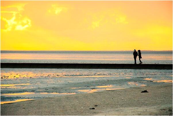 夢見一群驢擋門是好事還是壞事_周公解夢官網