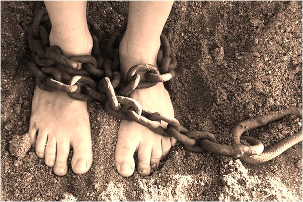 夢到了家禽在水裡得瘟疫死了一隻有什麼徵兆_周公解夢官網