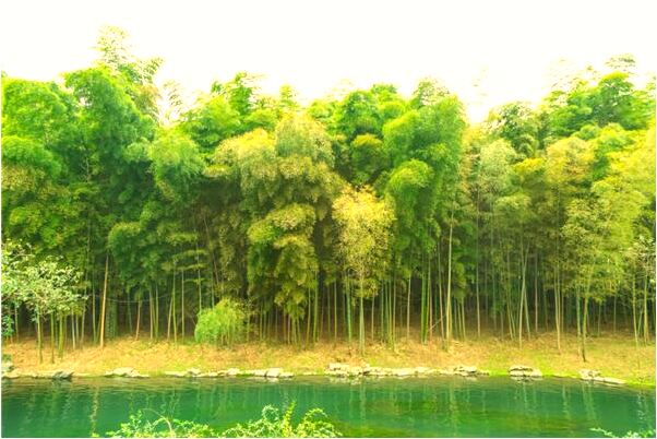 夢到了同性向自己告白是什麼徵兆_周公解夢官網