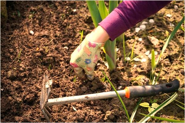 夢到自己從高架子上下來是咋回事_周公解夢官網