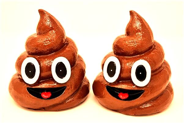 夢到了老鼠把雞分屍了意味著什麼_周公解夢官網