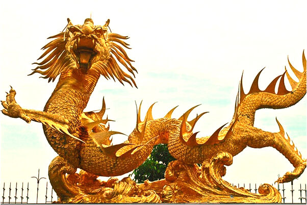 夢到牛得翅膀被割代表著什麼_周公解夢官網