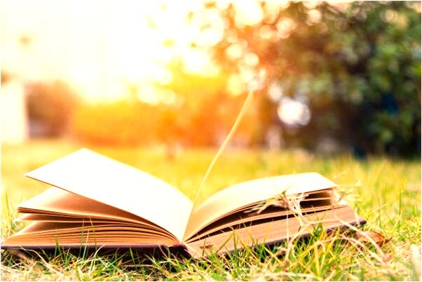 夢見小鳥進家是什麼徵兆_周公解夢官網