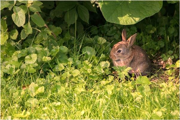 夢到考試通過有什麼預兆_周公解夢官網