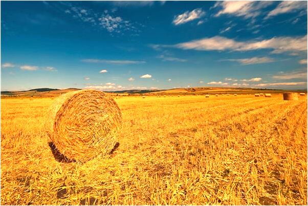 夢到了老婆和別人手拉手是好事還是壞事_周公解夢官網