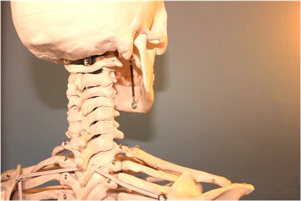 夢到了爸爸被打了有什麼徵兆_周公解夢官網