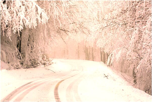 夢到吃三角形油糕意味著什麼_周公解夢官網