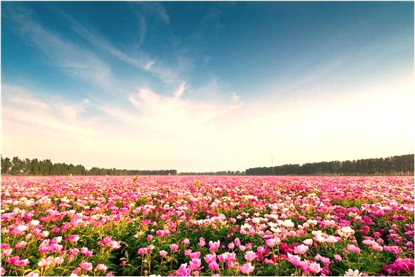 夢到幫客戶收錢有什麼預兆_周公解夢官網