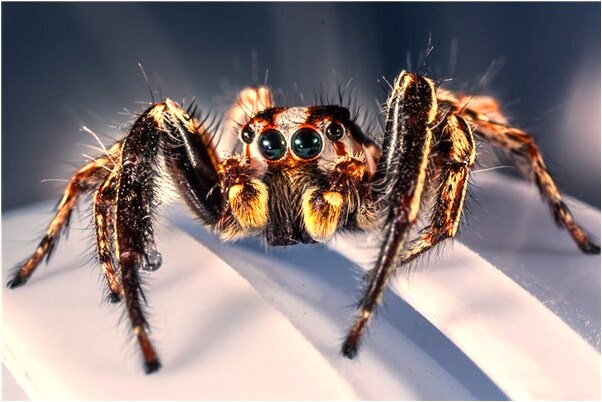 夢見被落石砸死有什麼意義嗎_周公解夢官網