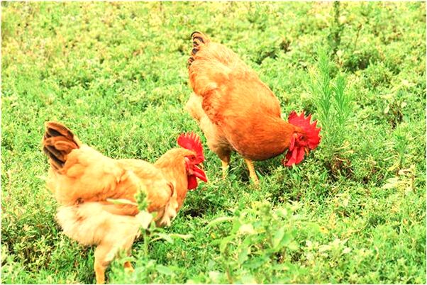 夢到經常愛上和其他男人預示了什麼_周公解夢官網