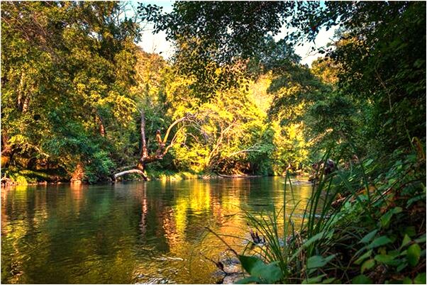 夢見下雨天給自己老闆撐傘意味著什麼_周公解夢官網