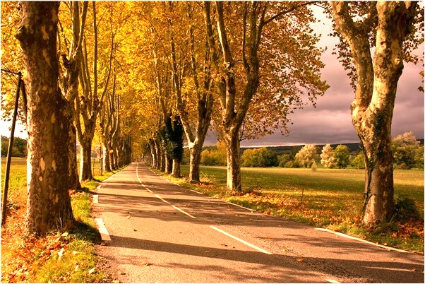 夢見和去世的人撒嬌是什麼意思_周公解夢官網