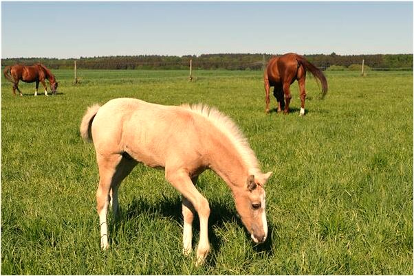 夢見女人自己快死了會是什麼預兆_周公解夢官網