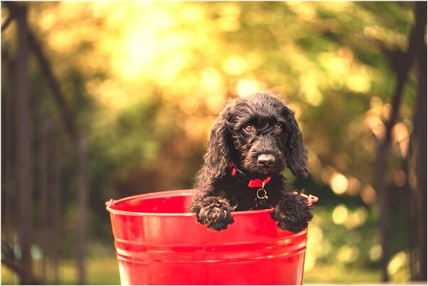 夢到做夢吃糯米有什麼寓意嗎？_周公解夢官網