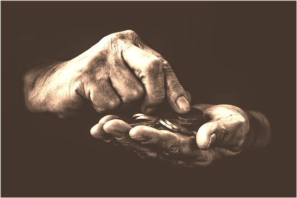 夢到撿竹子會是什麼預兆_周公解夢官網