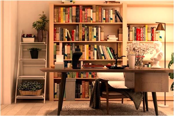 夢見鳥拉屎在鞋子上意味著什麼_周公解夢官網