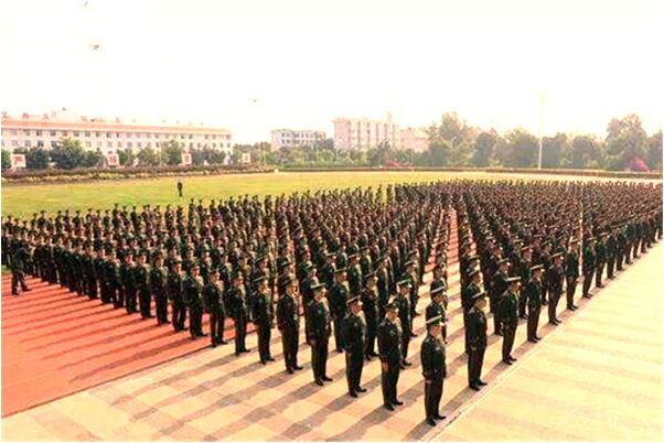 夢到抓住一條很肥的鯉魚會怎么樣_周公解夢官網