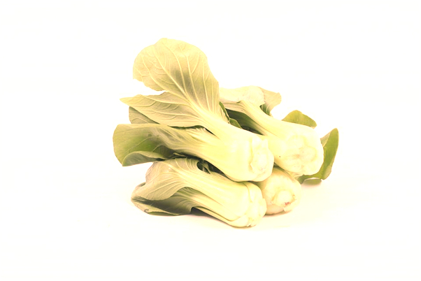 夢到送禮物給別人意味著什麼_周公解夢官網