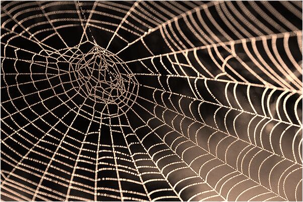 夢到了藍色大旋窩會怎么樣_周公解夢官網