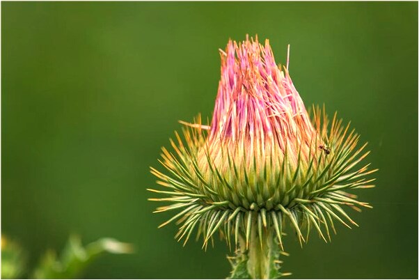 夢到了我讓朋友給別人畫花臉是什麼預兆？_周公解夢官網