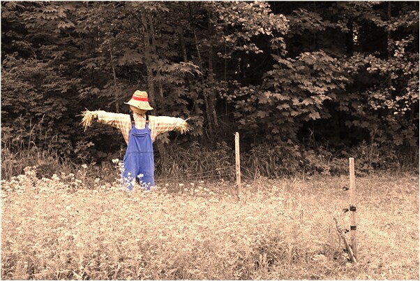 夢到多個小紙人好不好_周公解夢官網