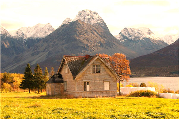 夢到身上長了膿皰是什麼預兆_周公解夢官網