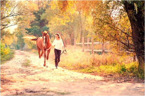 夢到雞狗跟著跑啥意思_周公解夢官網