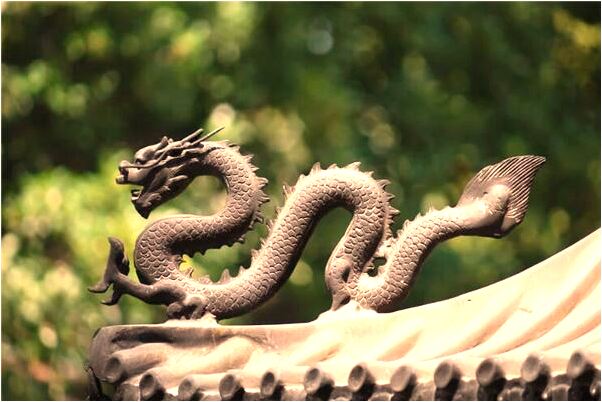 夢到了坐車出門從井邊過代表著什麼？_周公解夢官網