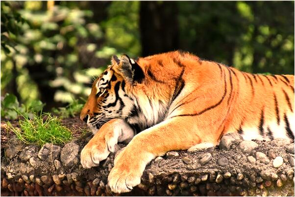 夢到神像對我發火有什麼意思_周公解夢官網