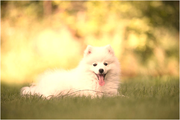 夢到了我要跟老公離婚會怎么樣_周公解夢官網