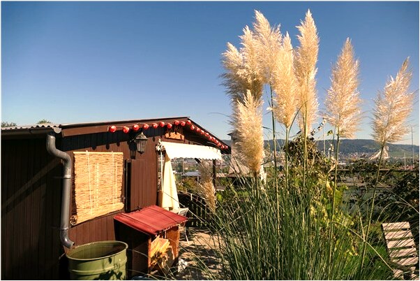 夢見租的房子以前死過人怎么樣_周公解夢官網