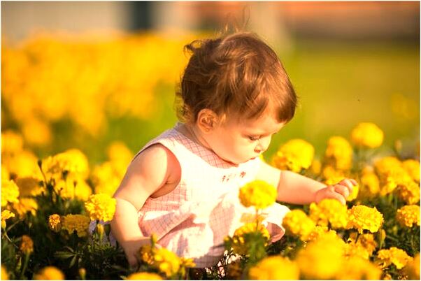 夢到了別人拿著大槍的預兆_周公解夢官網