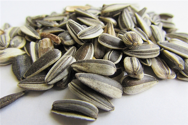 夢到磕葵花籽是凶兆還是吉兆_周公解夢