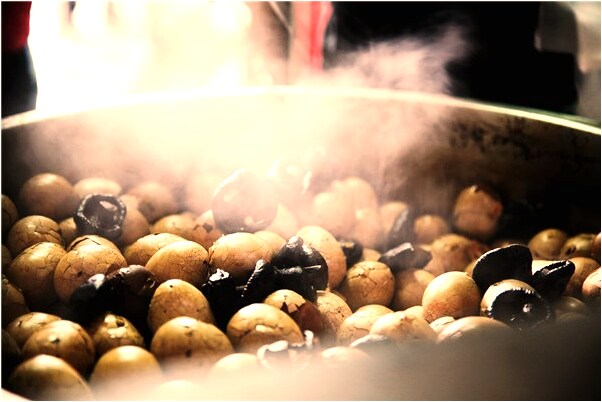 夢見花死了是不是好的徵兆呢_周公解夢官網