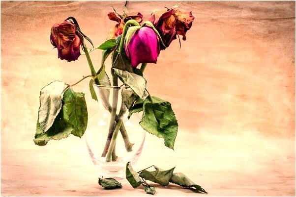 夢見我和別人給我我避孕會怎么樣_周公解夢官網