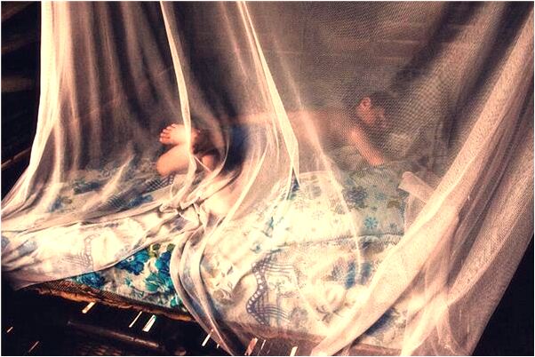 夢見蛇爬向我有什麼預兆_周公解夢官網