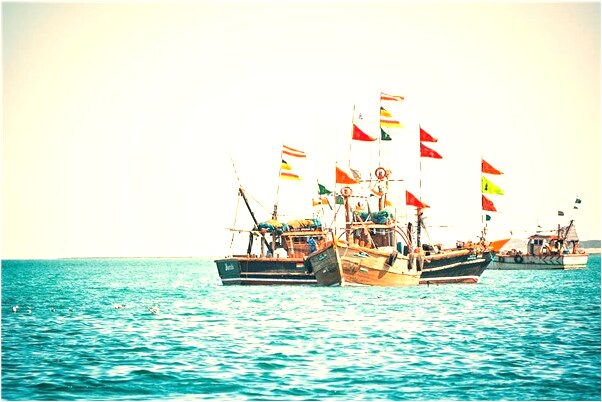 夢到自己要參加跳水比賽是咋回事_周公解夢官網