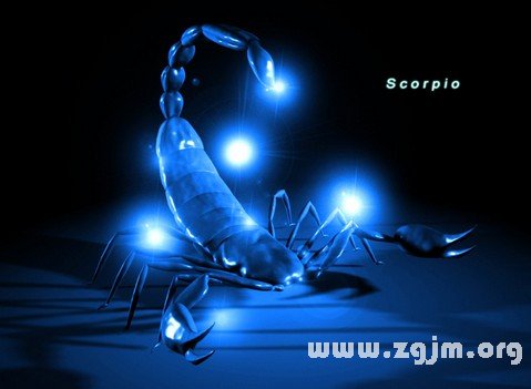 Scorpio how to play the New Year's eve _ the zodiac