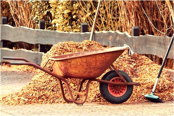 夢見兒子很高興是什麼預兆_周公解夢官網